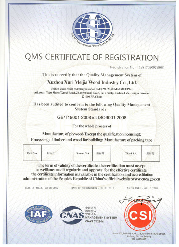 XUZHOU MEGA  ISO CERTIFICATE